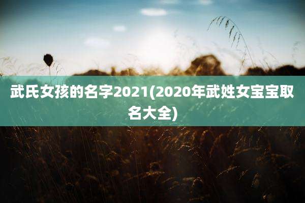 武氏女孩的名字2021(2020年武姓女宝宝取名大全)