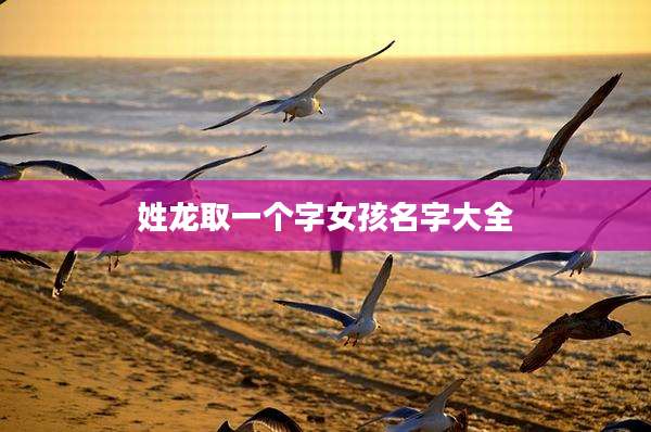 姓龙取一个字女孩名字大全