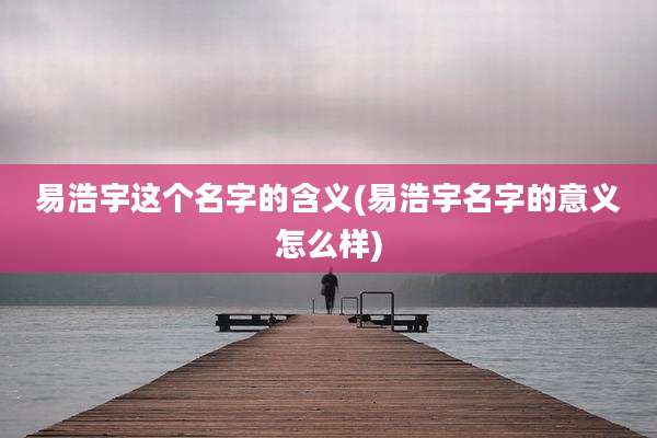 易浩宇这个名字的含义(易浩宇名字的意义怎么样)