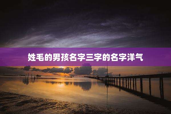 姓毛的男孩名字三字的名字洋气