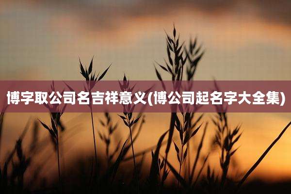 博字取公司名吉祥意义(博公司起名字大全集)