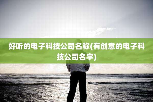 好听的电子科技公司名称(有创意的电子科技公司名字)