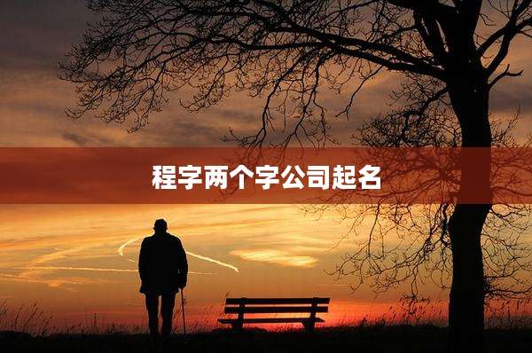 程字两个字公司起名