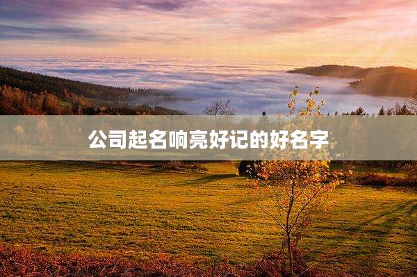 公司起名响亮好记的好名字