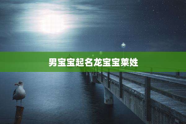 男宝宝起名龙宝宝莱姓