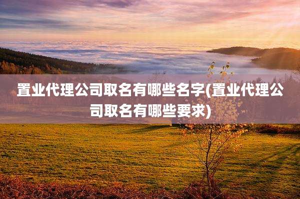 置业代理公司取名有哪些名字(置业代理公司取名有哪些要求)