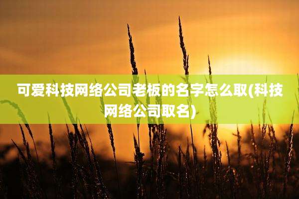 可爱科技网络公司老板的名字怎么取(科技网络公司取名)