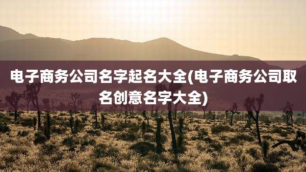 电子商务公司名字起名大全(电子商务公司取名创意名字大全)