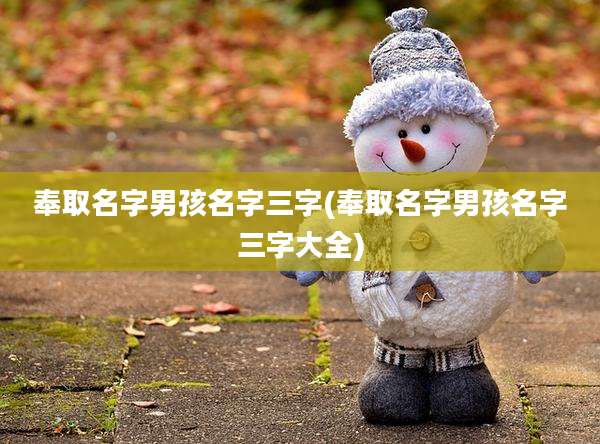 奉取名字男孩名字三字(奉取名字男孩名字三字大全)