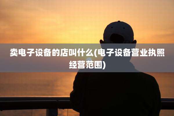 卖电子设备的店叫什么(电子设备营业执照经营范围)