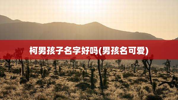 柯男孩子名字好吗(男孩名可爱)