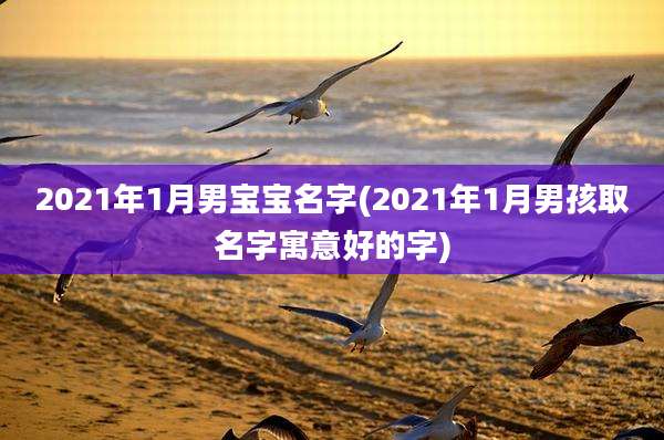 2021年1月男宝宝名字(2021年1月男孩取名字寓意好的字)