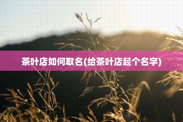茶叶店如何取名(给茶叶店起个名字)