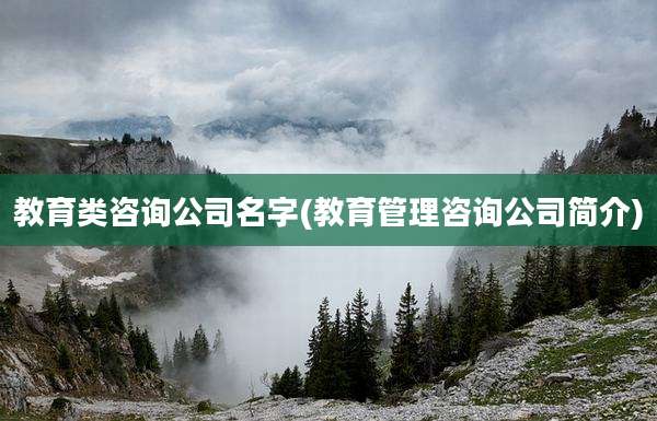 教育类咨询公司名字(教育管理咨询公司简介)