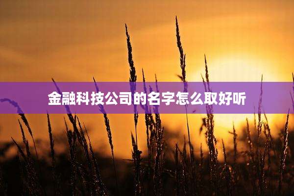 金融科技公司的名字怎么取好听