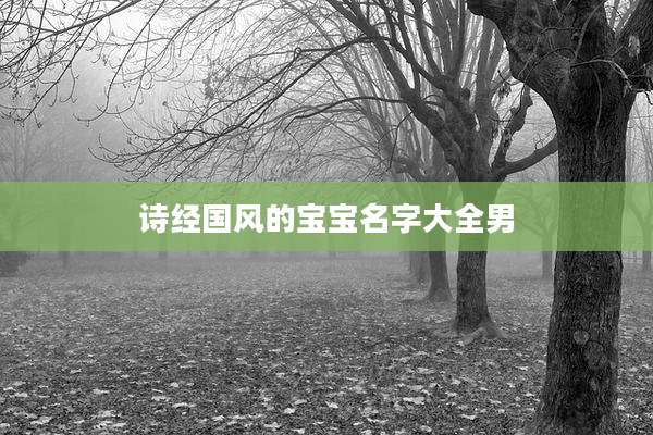 诗经国风的宝宝名字大全男