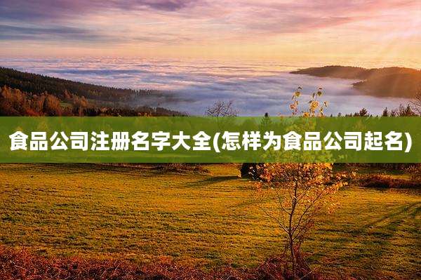 食品公司注册名字大全(怎样为食品公司起名)
