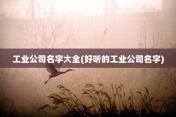 工业公司名字大全(好听的工业公司名字)