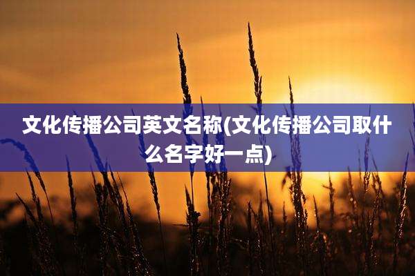 文化传播公司英文名称(文化传播公司取什么名字好一点)