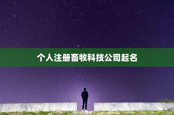 个人注册畜牧科技公司起名