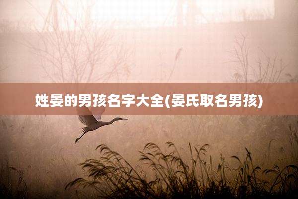 姓晏的男孩名字大全(晏氏取名男孩)