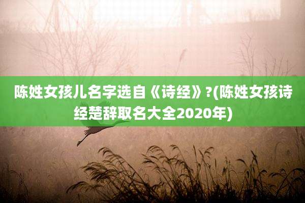 陈姓女孩儿名字选自《诗经》?(陈姓女孩诗经楚辞取名大全2020年)