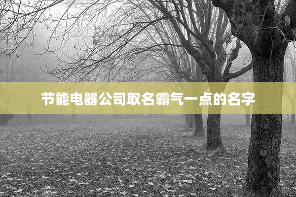 节能电器公司取名霸气一点的名字