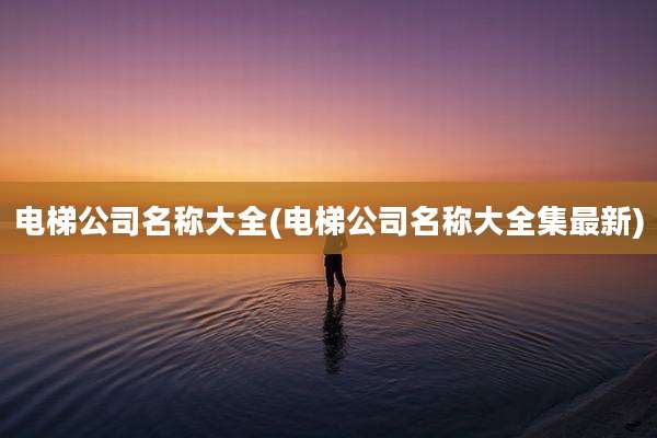 电梯公司名称大全(电梯公司名称大全集最新)