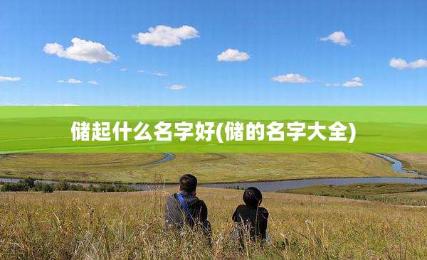 储起什么名字好(储的名字大全)