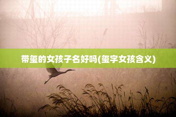带玺的女孩子名好吗(玺字女孩含义)