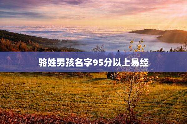 骆姓男孩名字95分以上易经