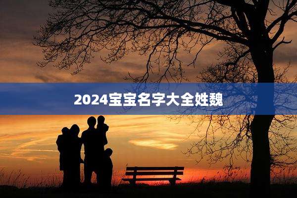 2024宝宝名字大全姓魏
