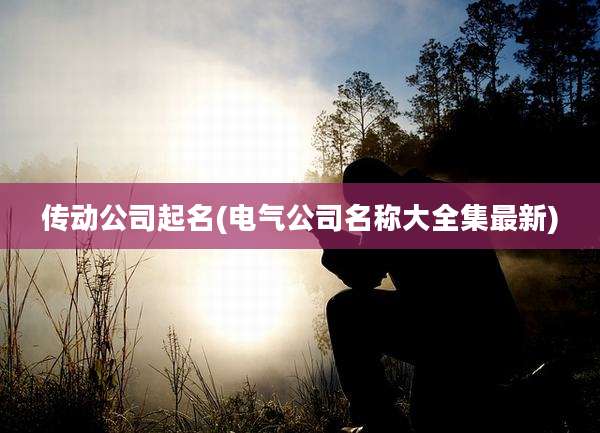 传动公司起名(电气公司名称大全集最新)