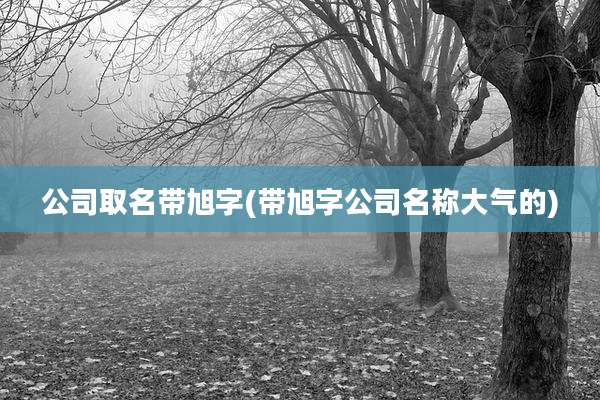 公司取名带旭字(带旭字公司名称大气的)