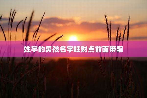 姓宇的男孩名字旺财点前面带嗣