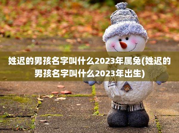 姓迟的男孩名字叫什么2023年属兔(姓迟的男孩名字叫什么2023年出生)