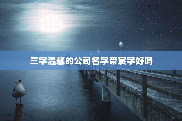 三字温馨的公司名字带宸字好吗