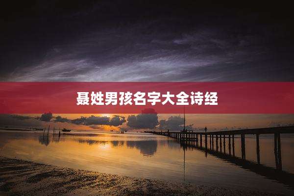聂姓男孩名字大全诗经