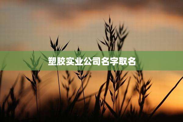 塑胶实业公司名字取名