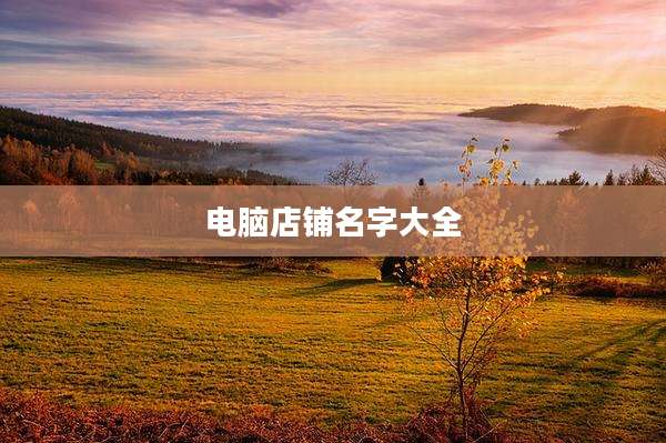 电脑店铺名字大全