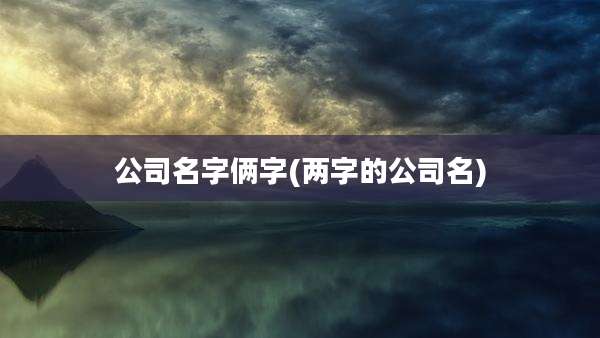 公司名字俩字(两字的公司名)