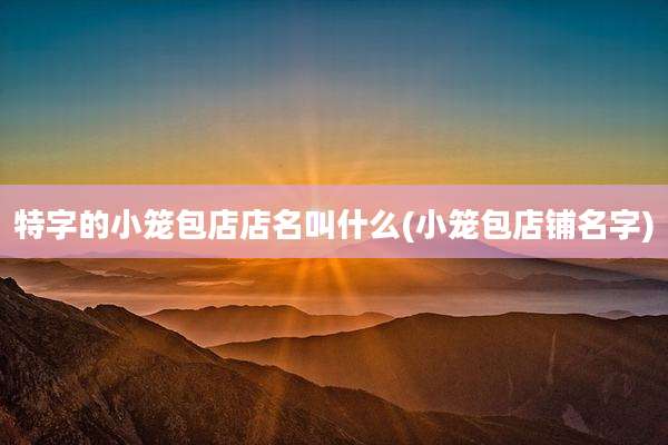 特字的小笼包店店名叫什么(小笼包店铺名字)