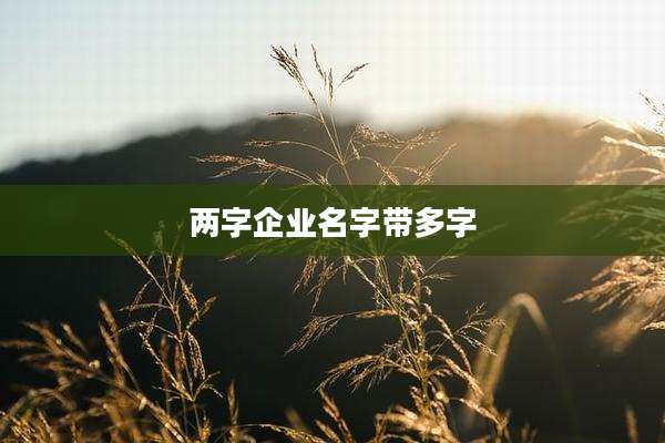 两字企业名字带多字