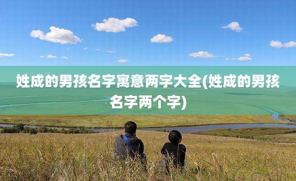 姓成的男孩名字寓意两字大全(姓成的男孩名字两个字)