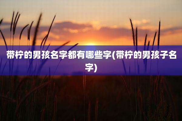 带柠的男孩名字都有哪些字(带柠的男孩子名字)