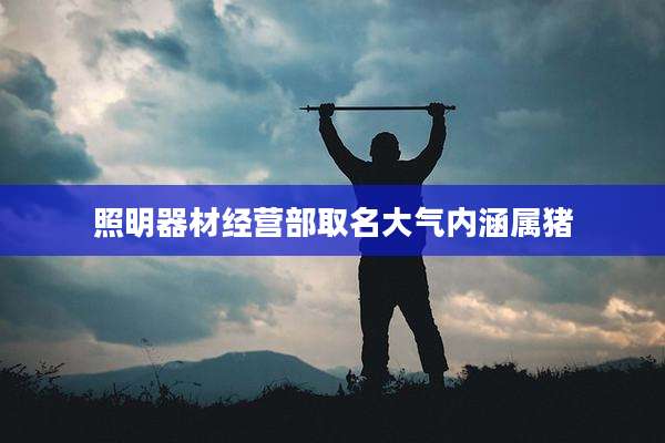 照明器材经营部取名大气内涵属猪