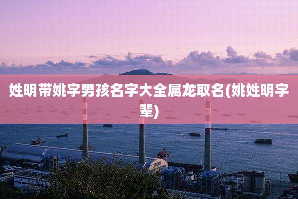 姓明带姚字男孩名字大全属龙取名(姚姓明字辈)
