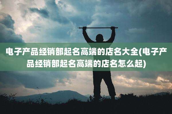 电子产品经销部起名高端的店名大全(电子产品经销部起名高端的店名怎么起)
