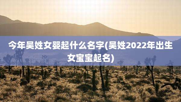 今年吴姓女婴起什么名字(吴姓2022年出生女宝宝起名)