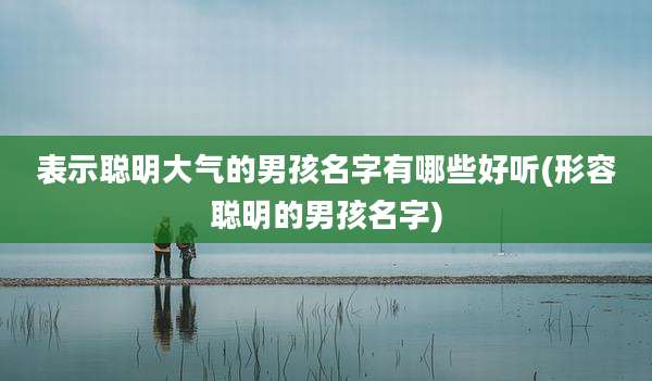 表示聪明大气的男孩名字有哪些好听(形容聪明的男孩名字)